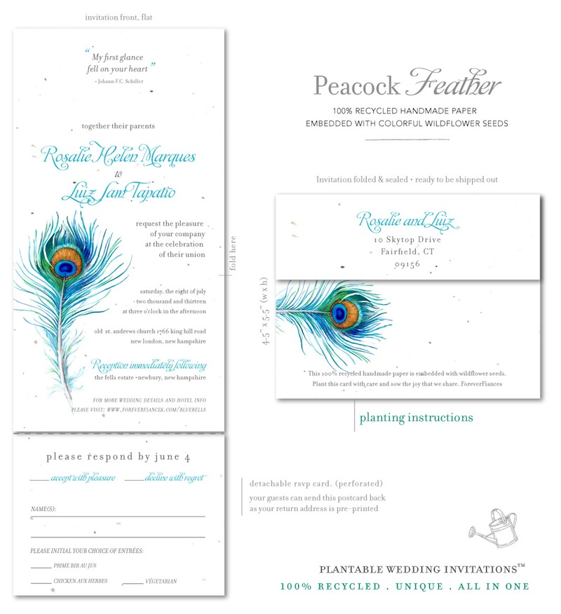 Peacock Feather wedding invitations