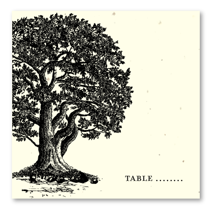 Oak Tree place cards