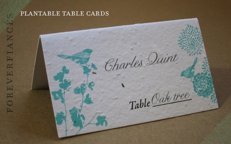 Complete your wedding stationery suite with ecofriendly place cards