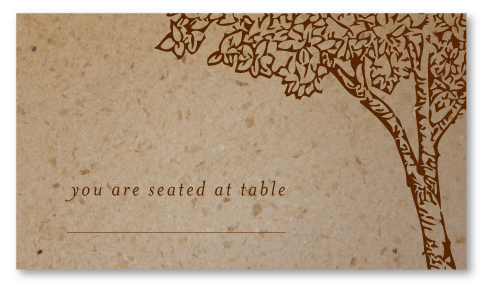 Seed paper Place cards