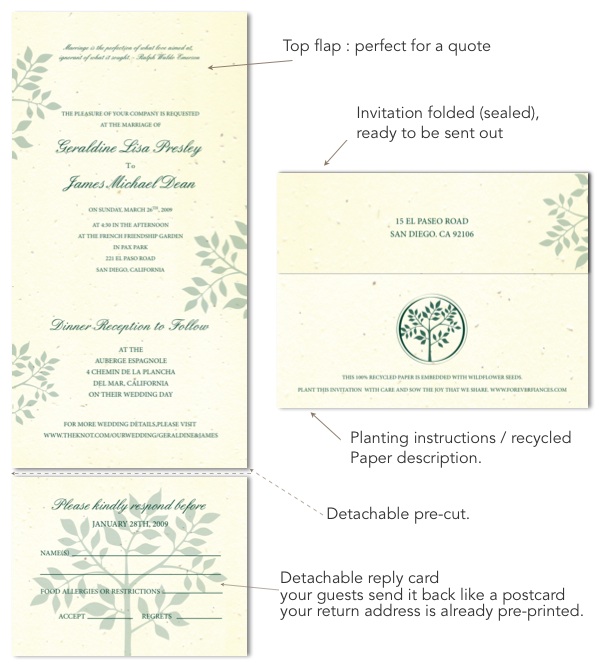 Seeded paper invitations Tree of Life