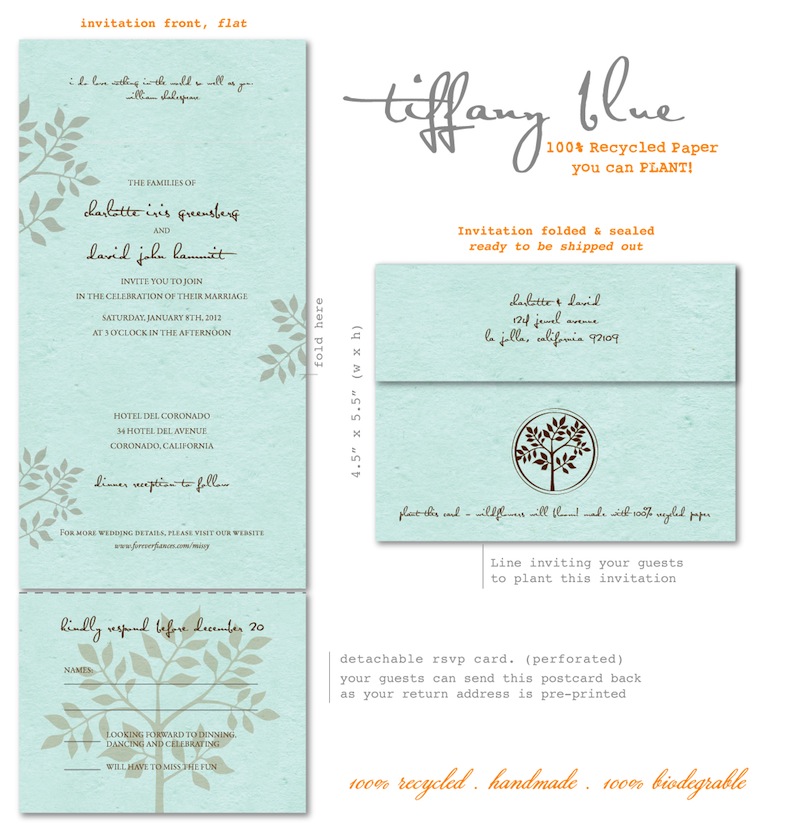 The Tiffany Blue plantable invitation Shalom displayed in Chocolate ink on