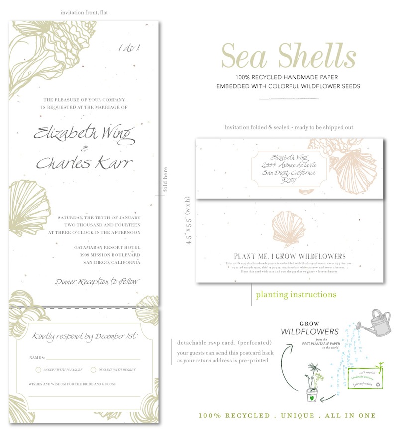 Sea Shells Wedding Invitations