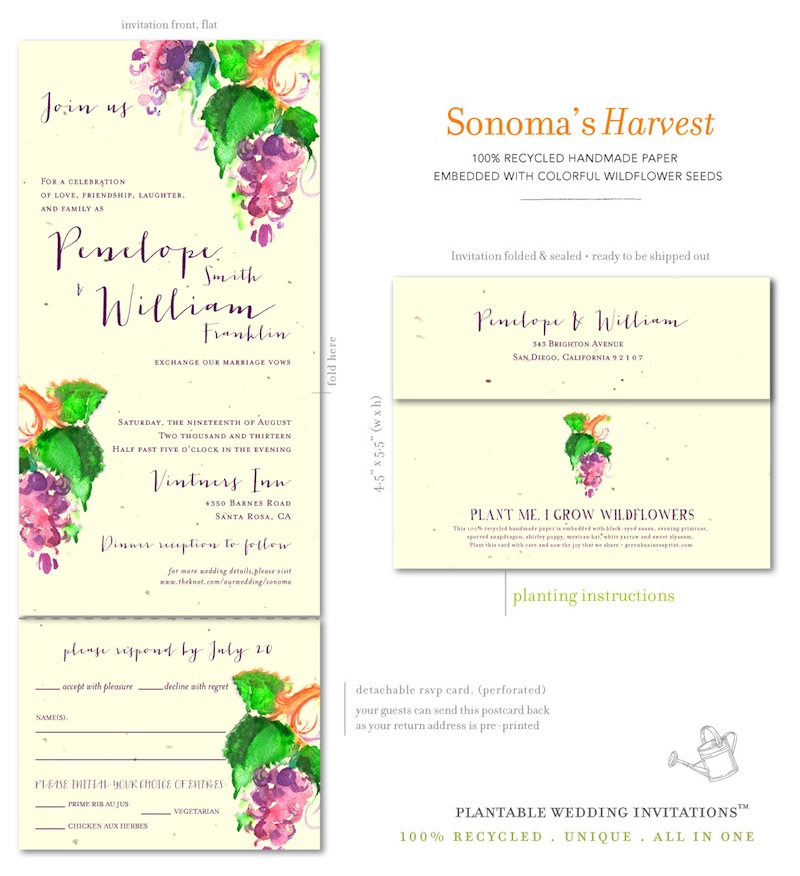 Sonoma Harvest wedding invitations