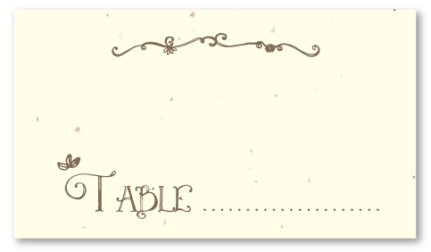 Whimsical Handwritten Wedding place cards 