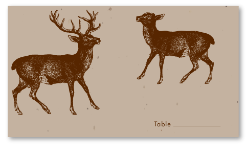 buck stag deer wedding place cards 