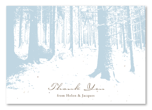 Winter forest Thank You cards