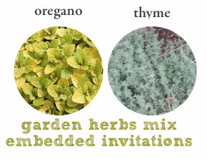 Garden herbs seeded paper