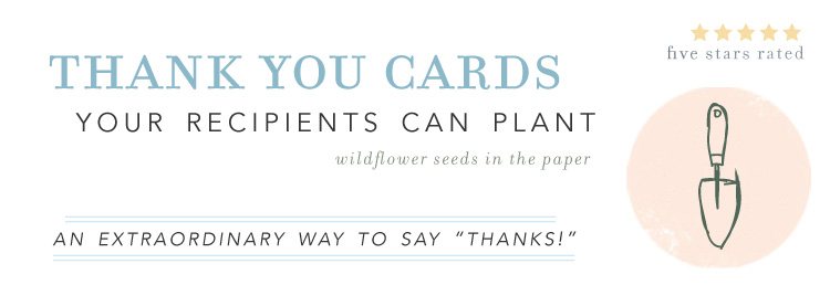 Plantable Thank you notes growing wildflowers 
