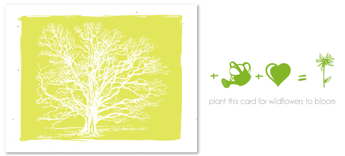 Blank plantable greeting cards