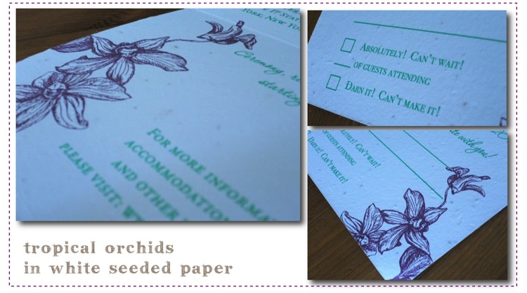 Tropical Orchids White seeded paper