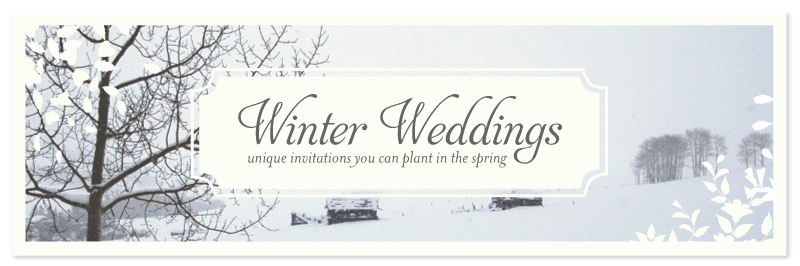 Winter Weddings Invitations