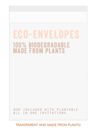 Clear Eco-Envelopes - clear envelope - Eco-Envelopes - Envelopes made ...